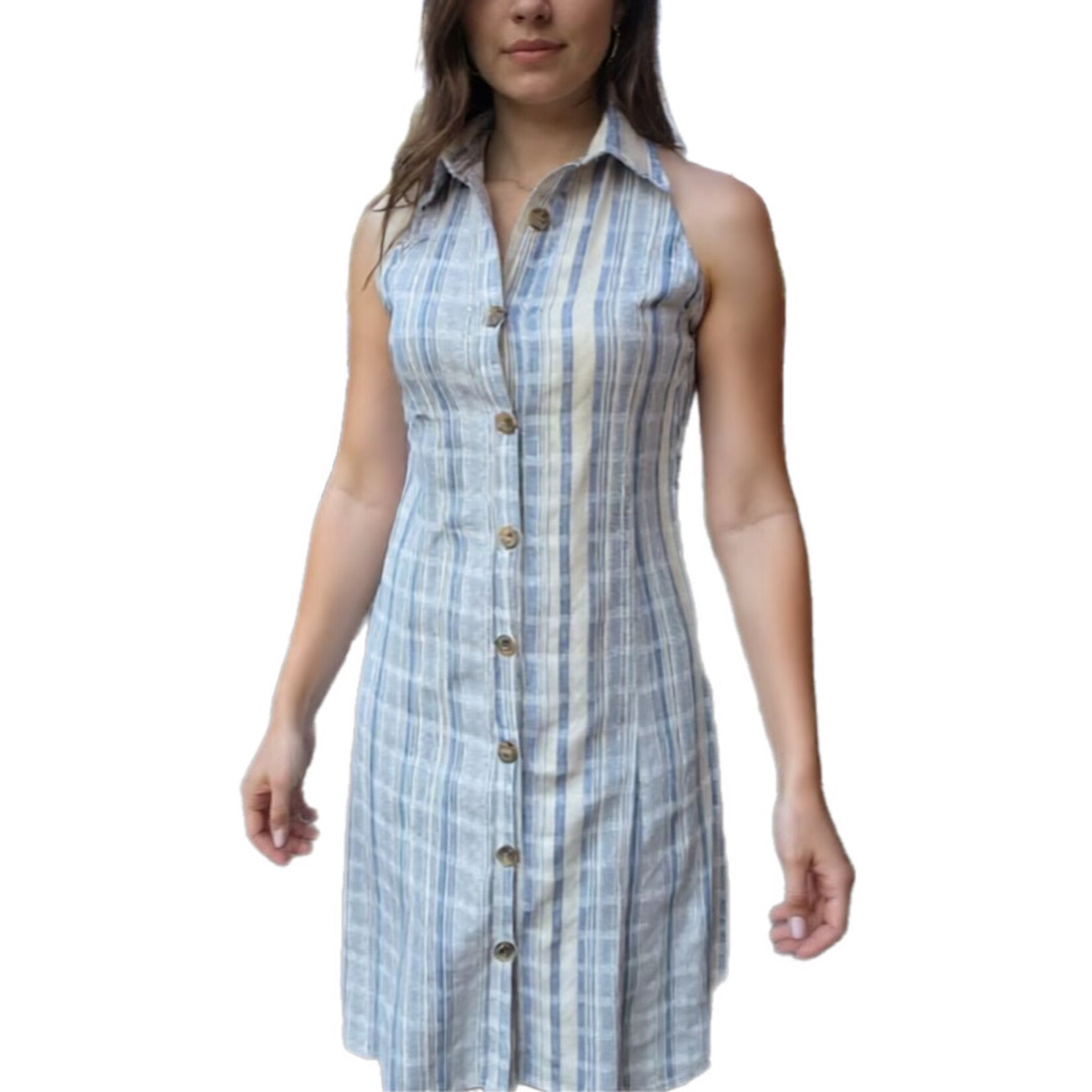 Blue Striped Sleeveless Button Down Dress
