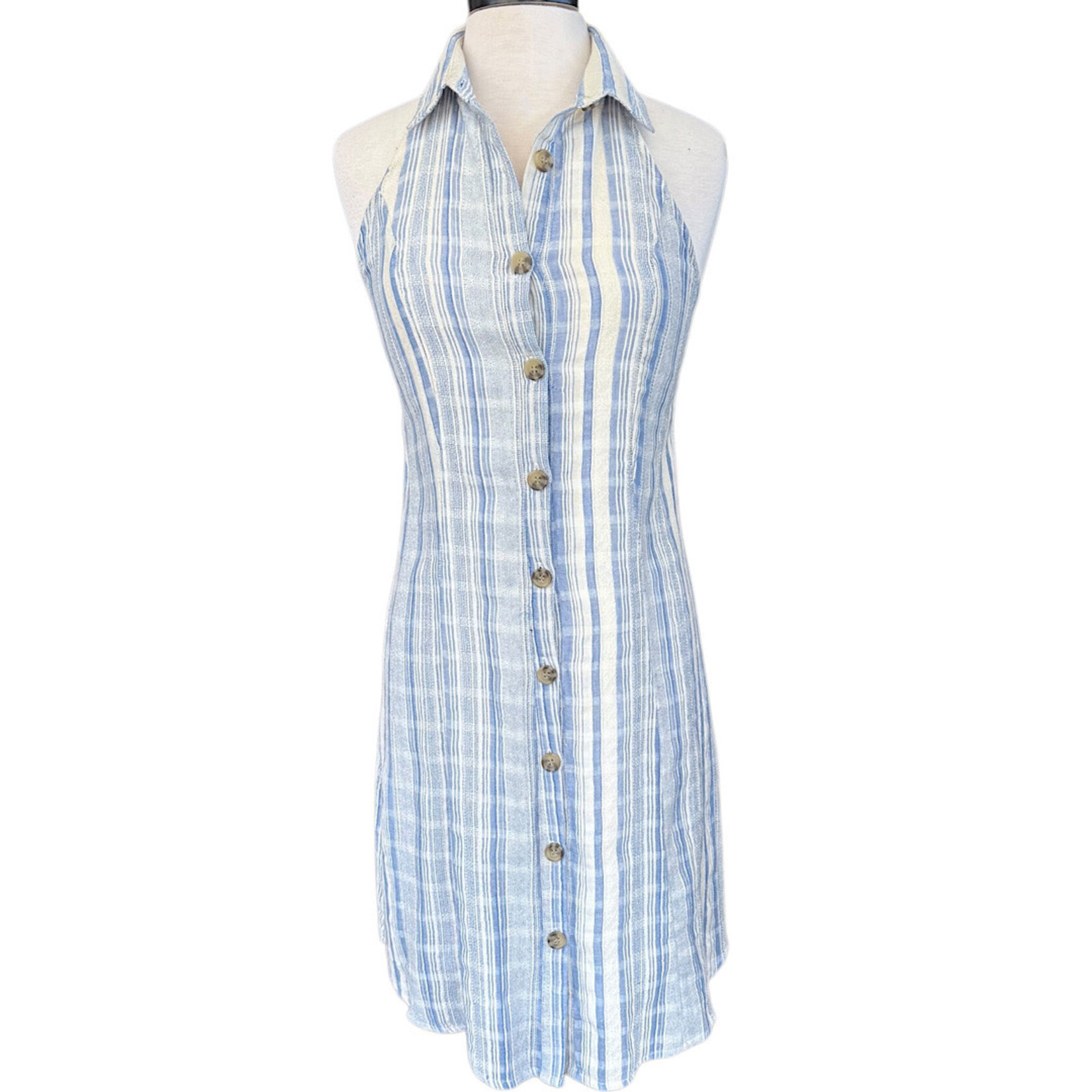 Blue Striped Sleeveless Button Down Dress