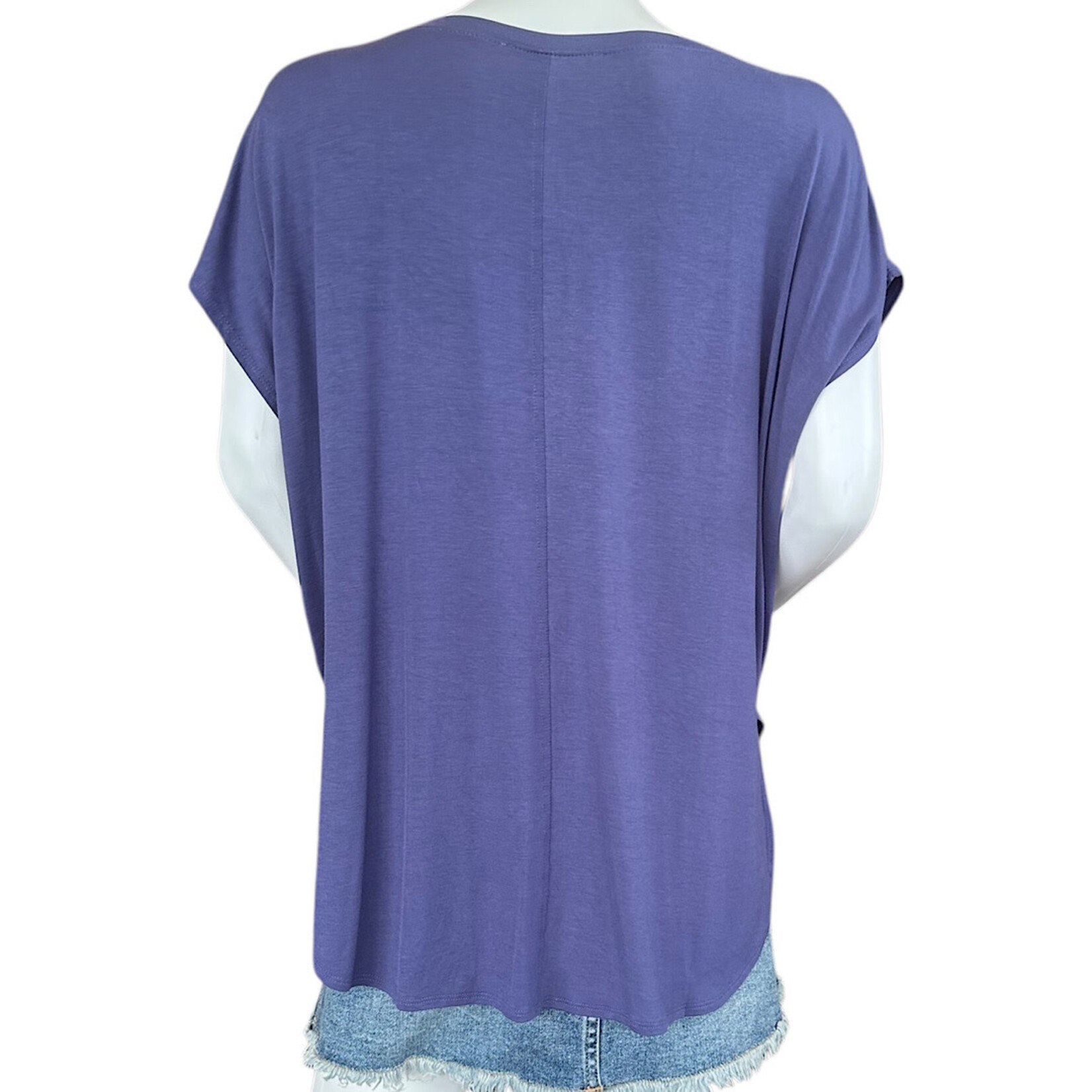 Dusty Indigo Dolman Sleeve Top with Round Neck