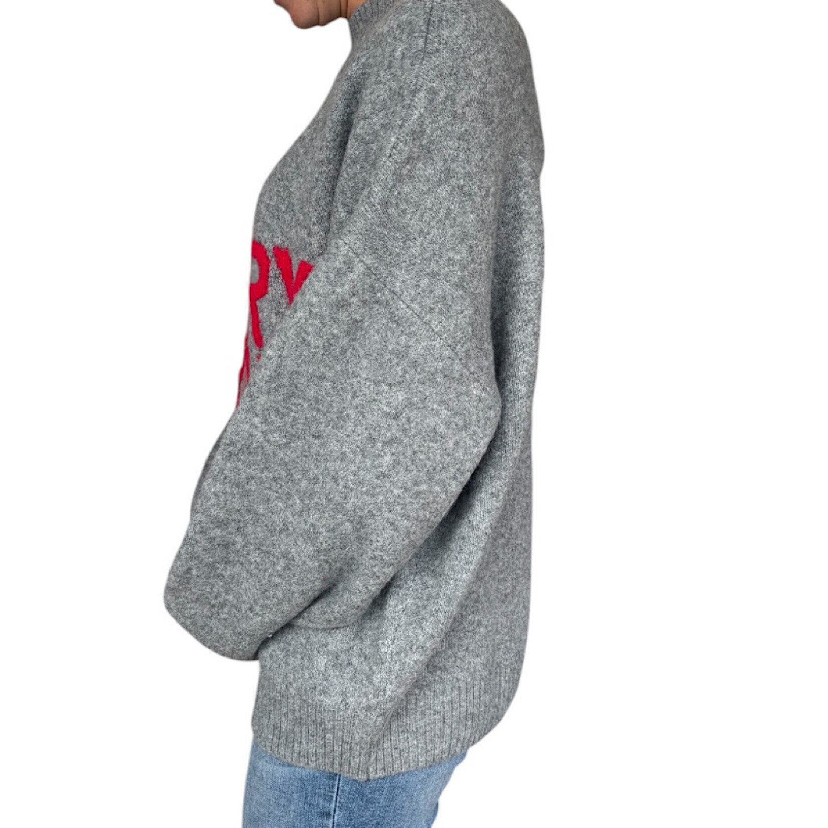 Charcoal Be Merry & Bright Crewneck Knit Pullover Sweater