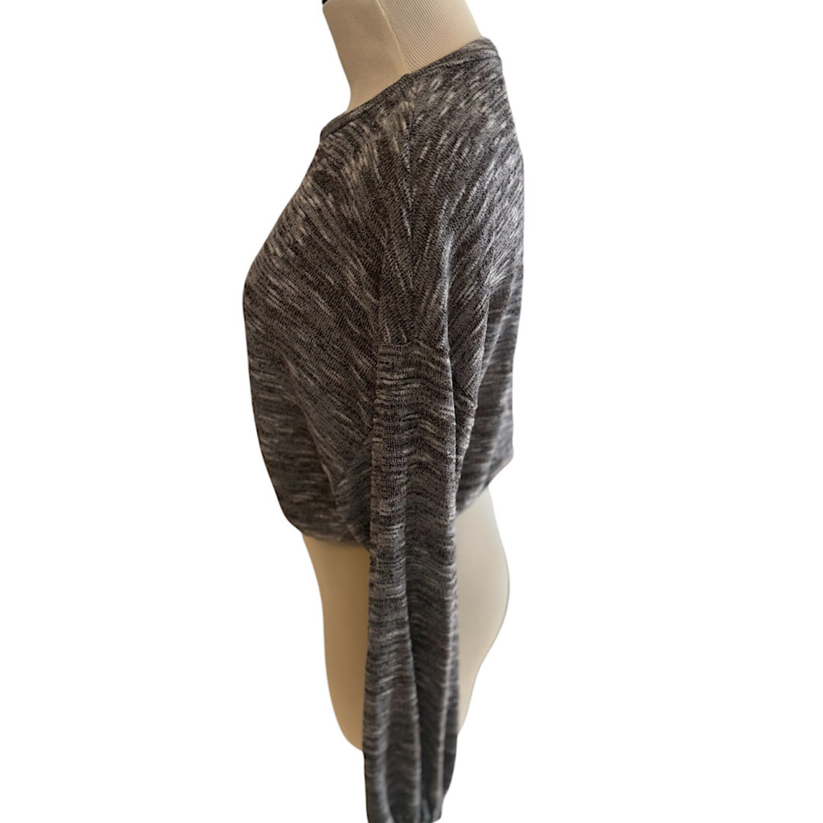 Dark Brown/Champagne Long Sleeve Crop Top Size Small-RF