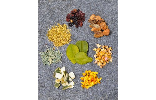 Betera Elderflower Lime Zero-Proof Cocktail