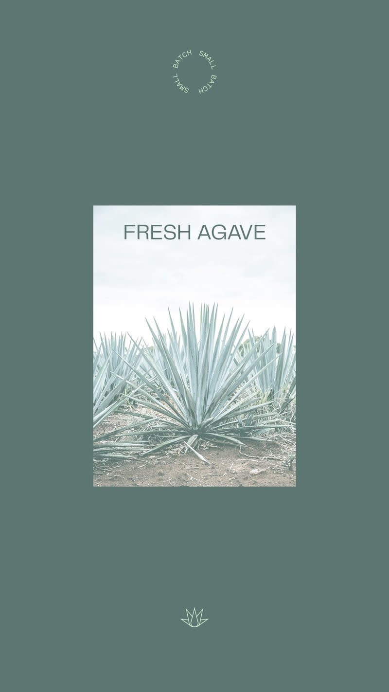 WithCo Agave Margarita