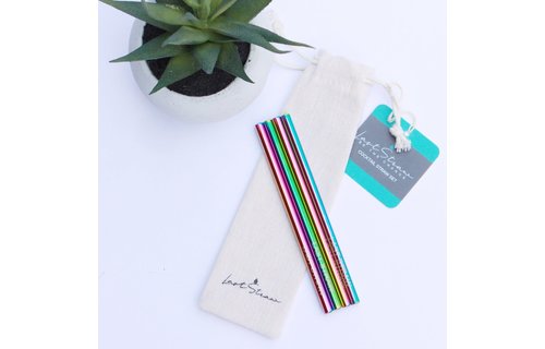 Last Straw Rainbow Cocktail Stainless Steel Metal Straw Set