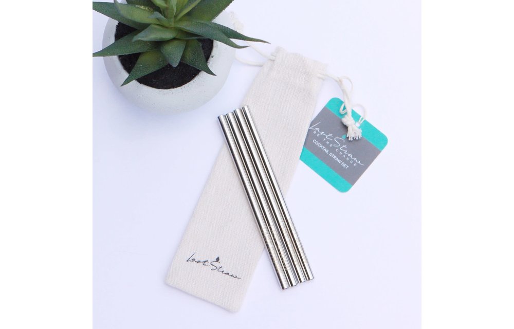 Last Straw Silver Cocktail Stainless Steel Metal Straw Set