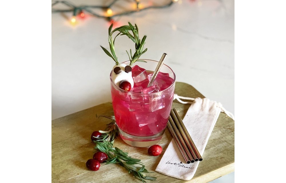 Last Straw Silver Cocktail Stainless Steel Metal Straw Set