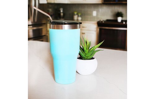 Last Straw Silver Stainless Steel Metal Straw Set