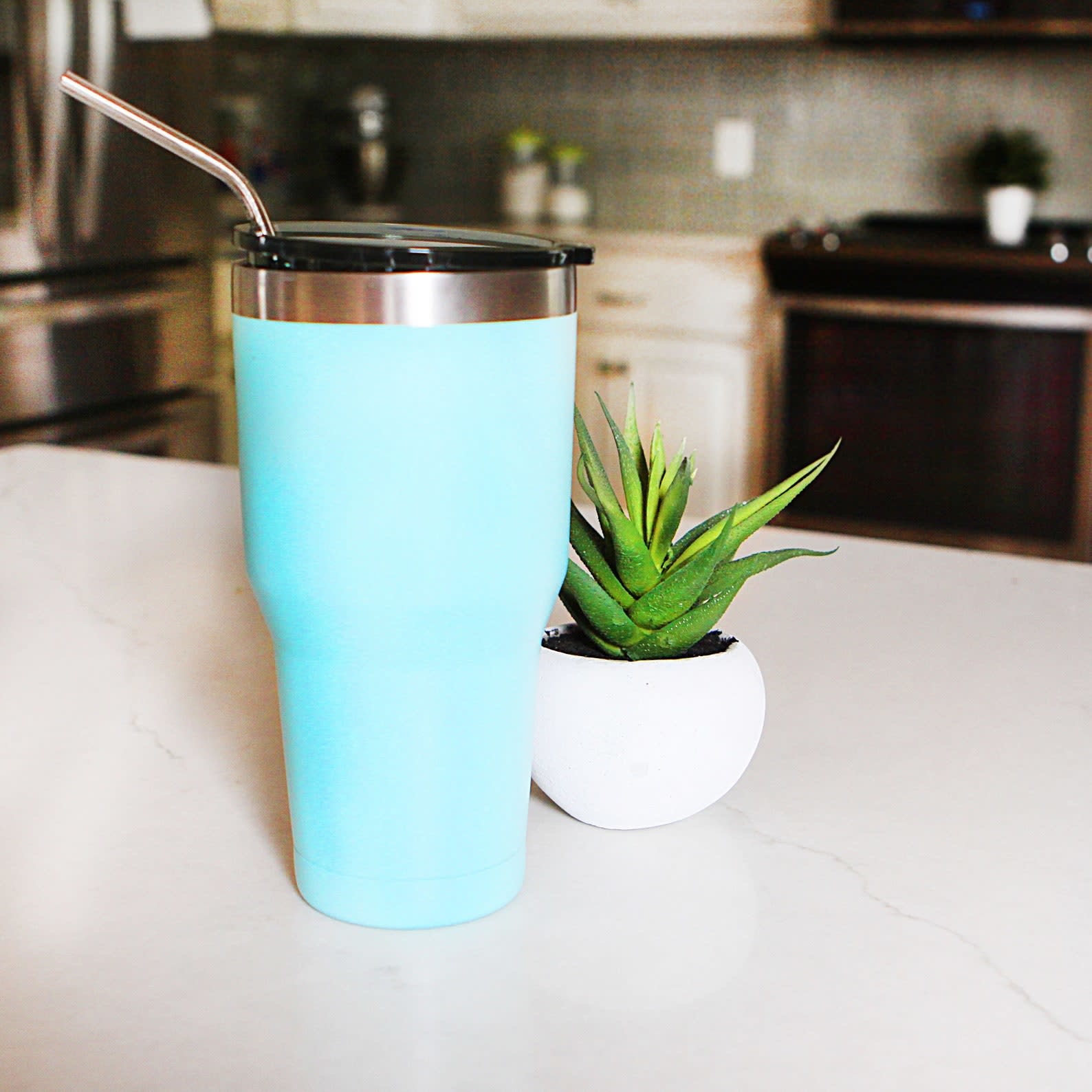 Last Straw Silver Stainless Steel Metal Straw Set