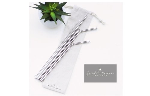 Last Straw Silver Stainless Steel Metal Straw Set