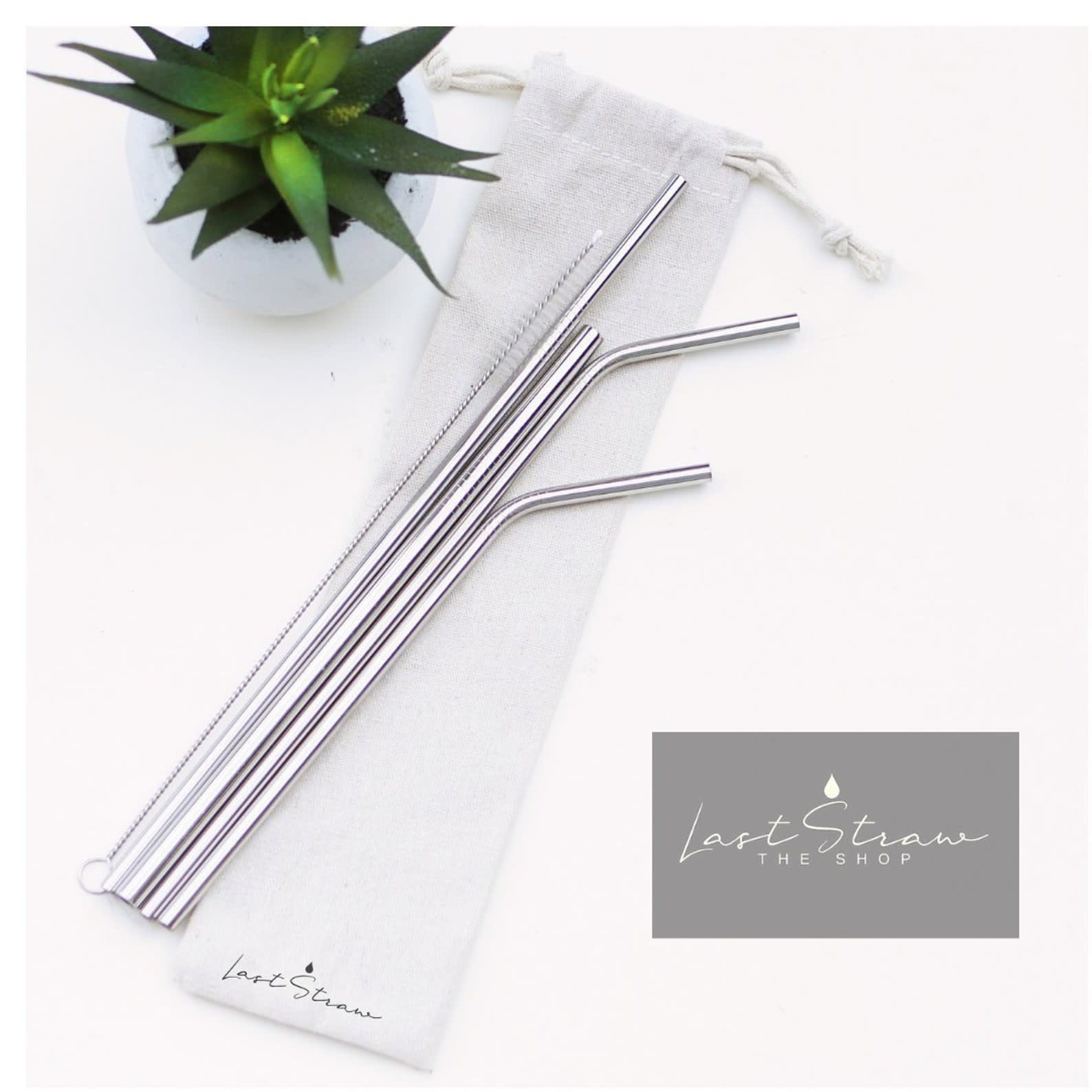 Last Straw Silver Stainless Steel Metal Straw Set