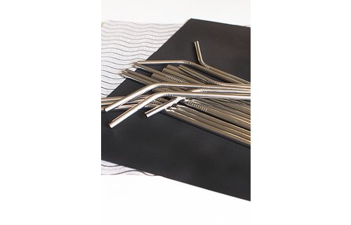 Last Straw Silver Stainless Steel Metal Straw Set