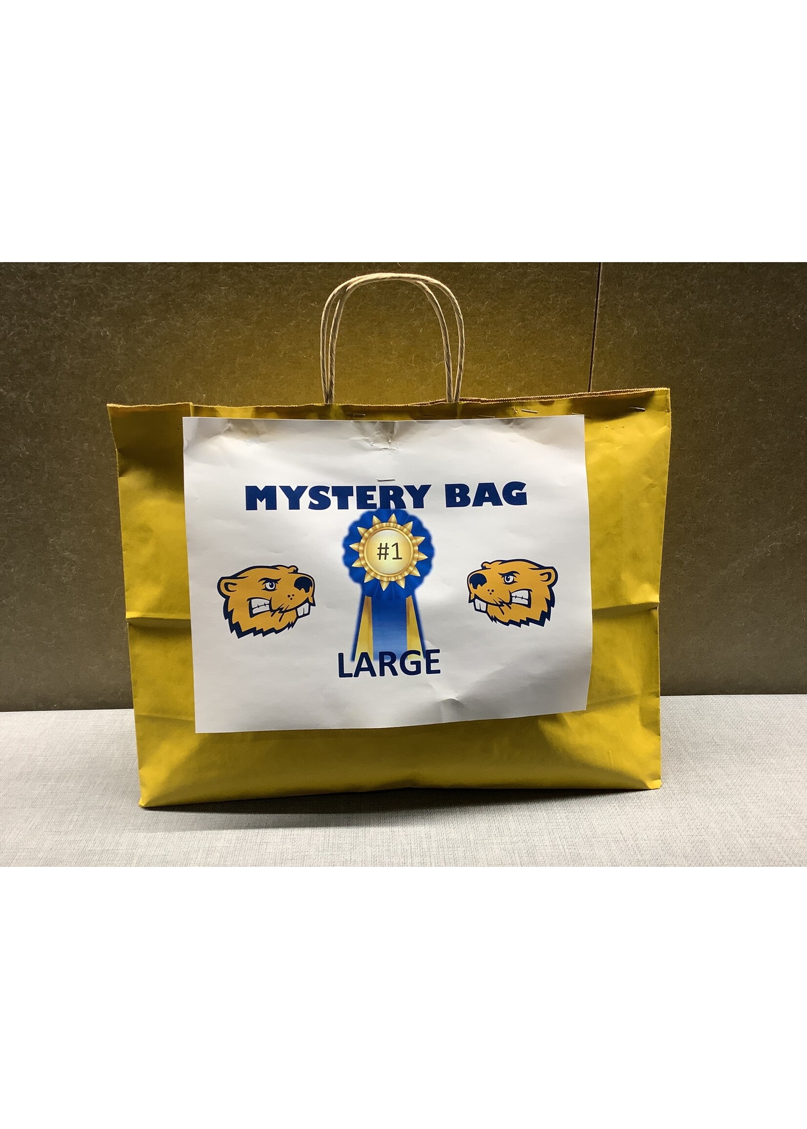 Mystery Bag 1 Large