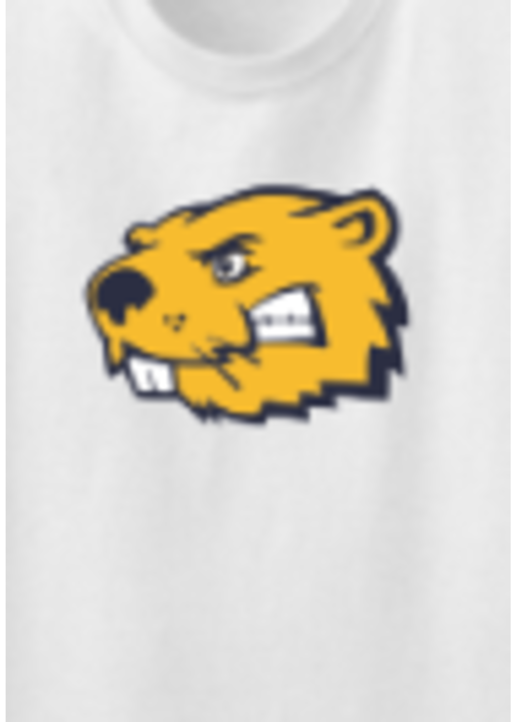 Gildan Beaverhead Youth T- Shirt
