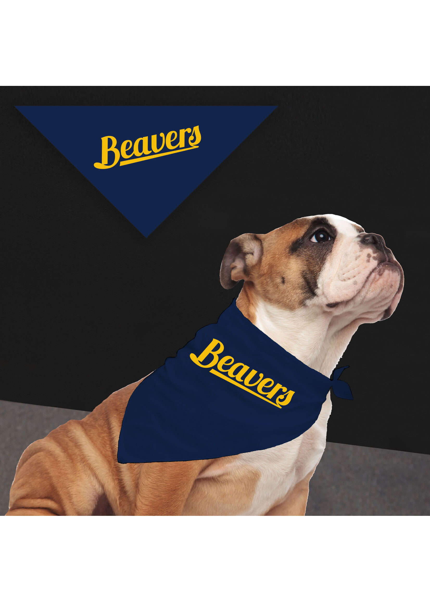 Jardine Associates Large Pet Bandana