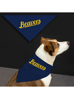 Jardine Associates Small Pet Bandana