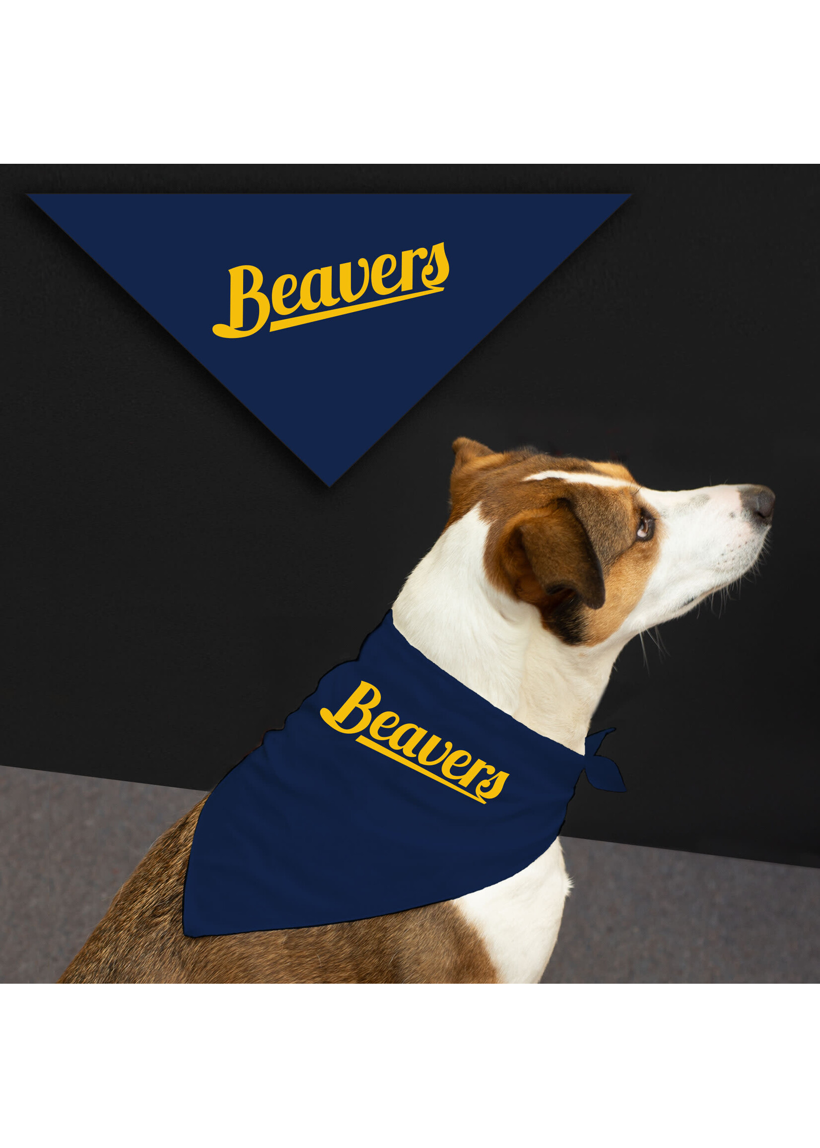 Jardine Associates Small Pet Bandana
