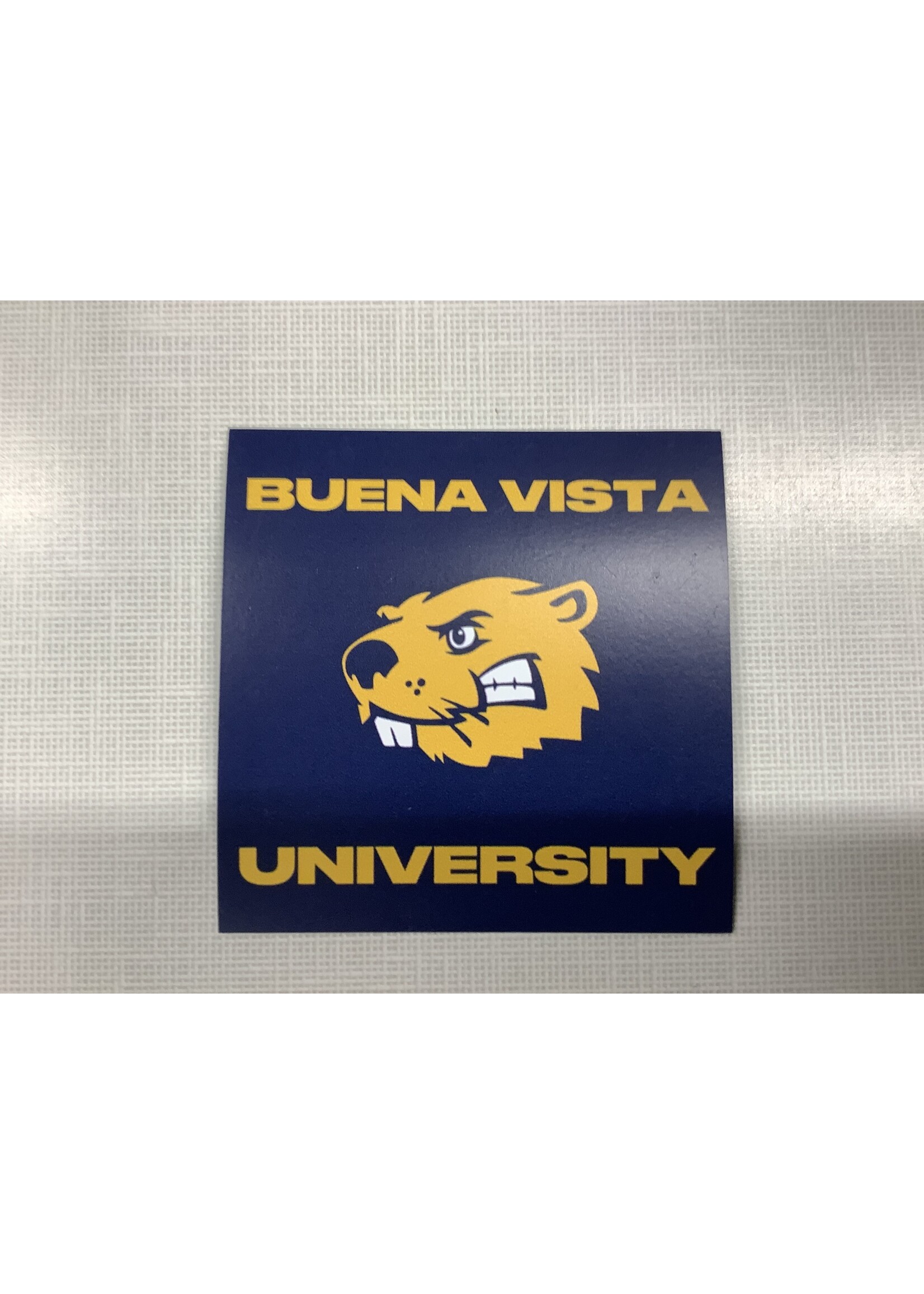 Buena Vista University Magnet