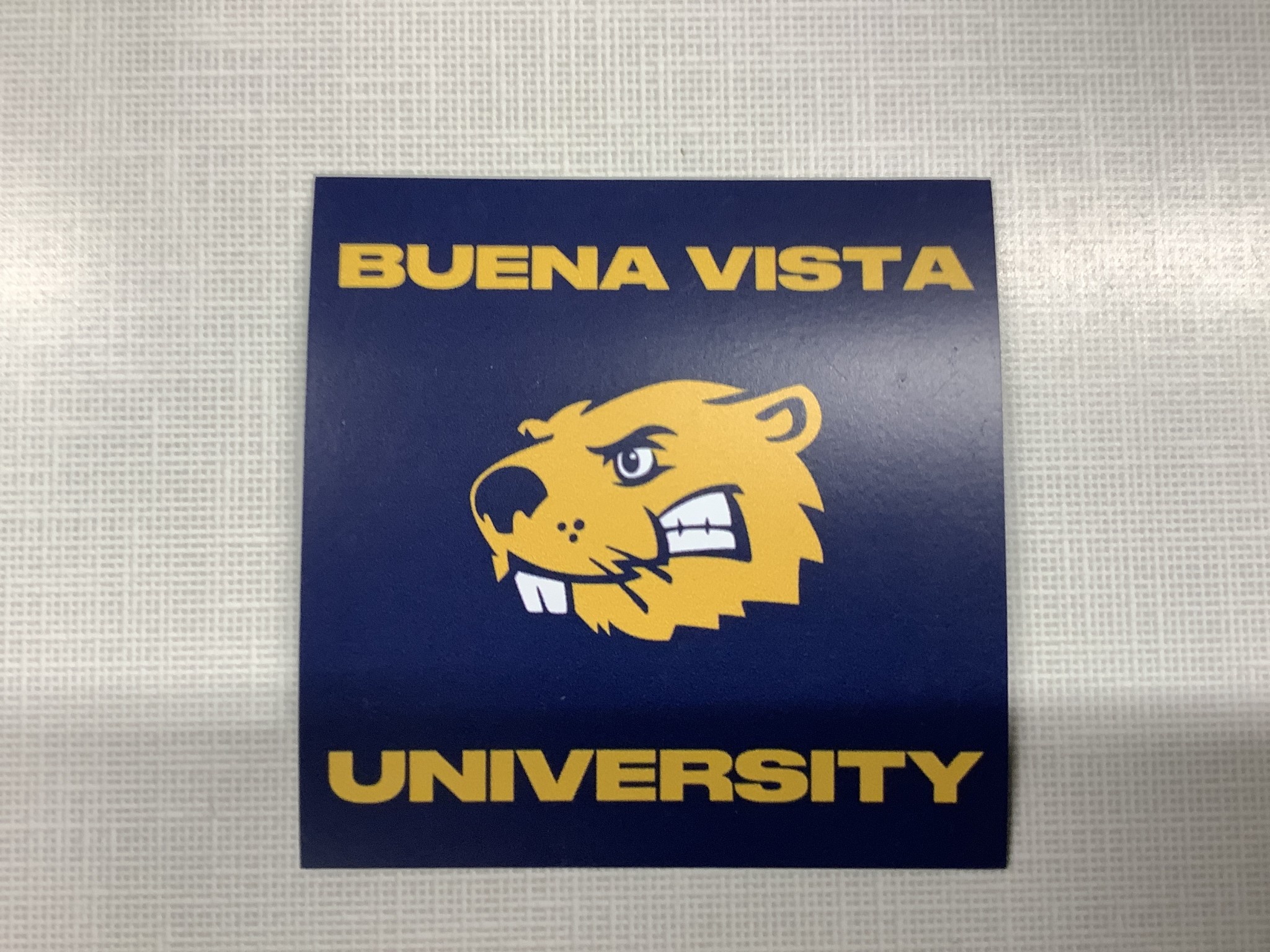 Buena Vista University Magnet Buena Vista University Spirit Store