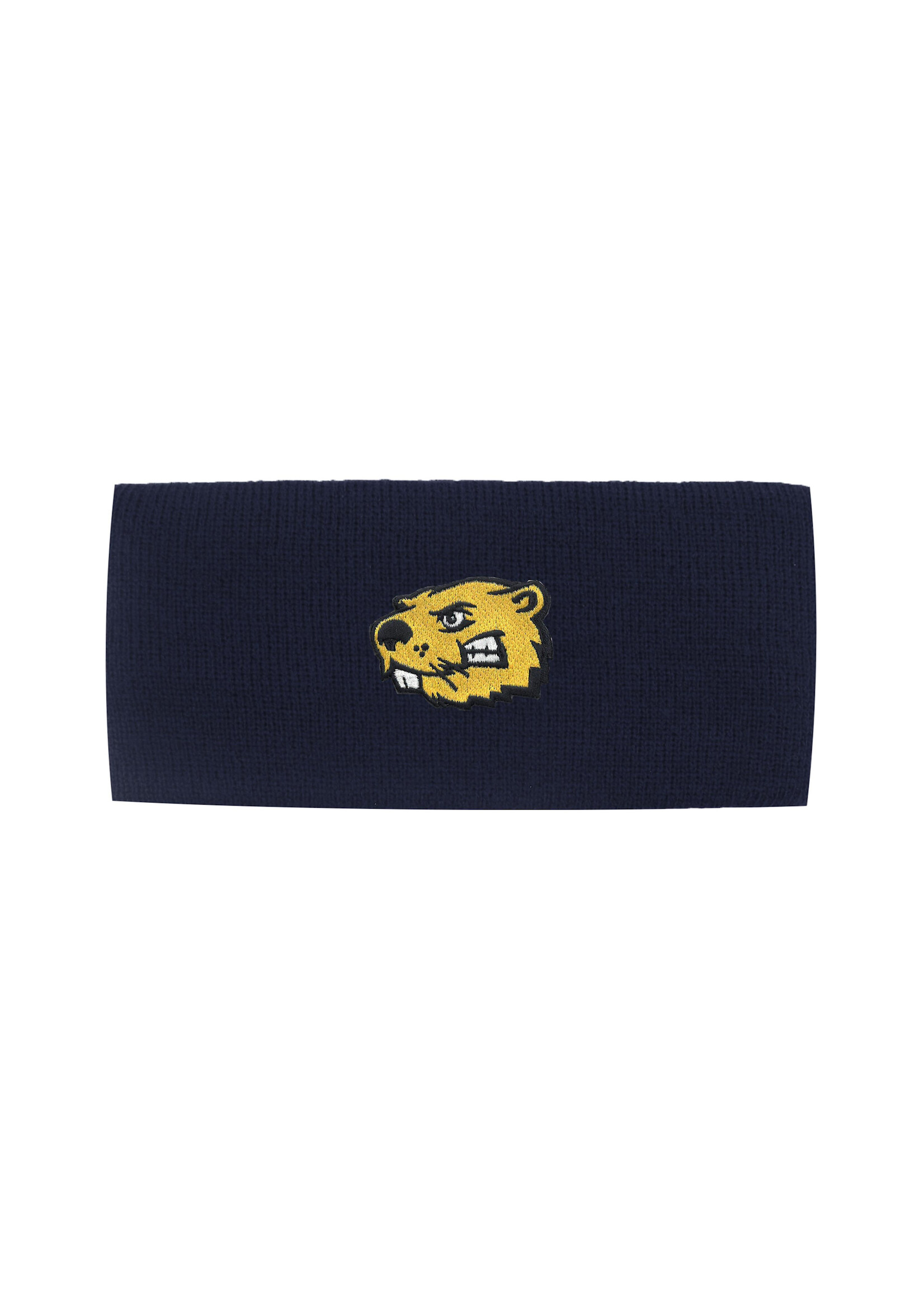 Logo Fit Polar Knit earband