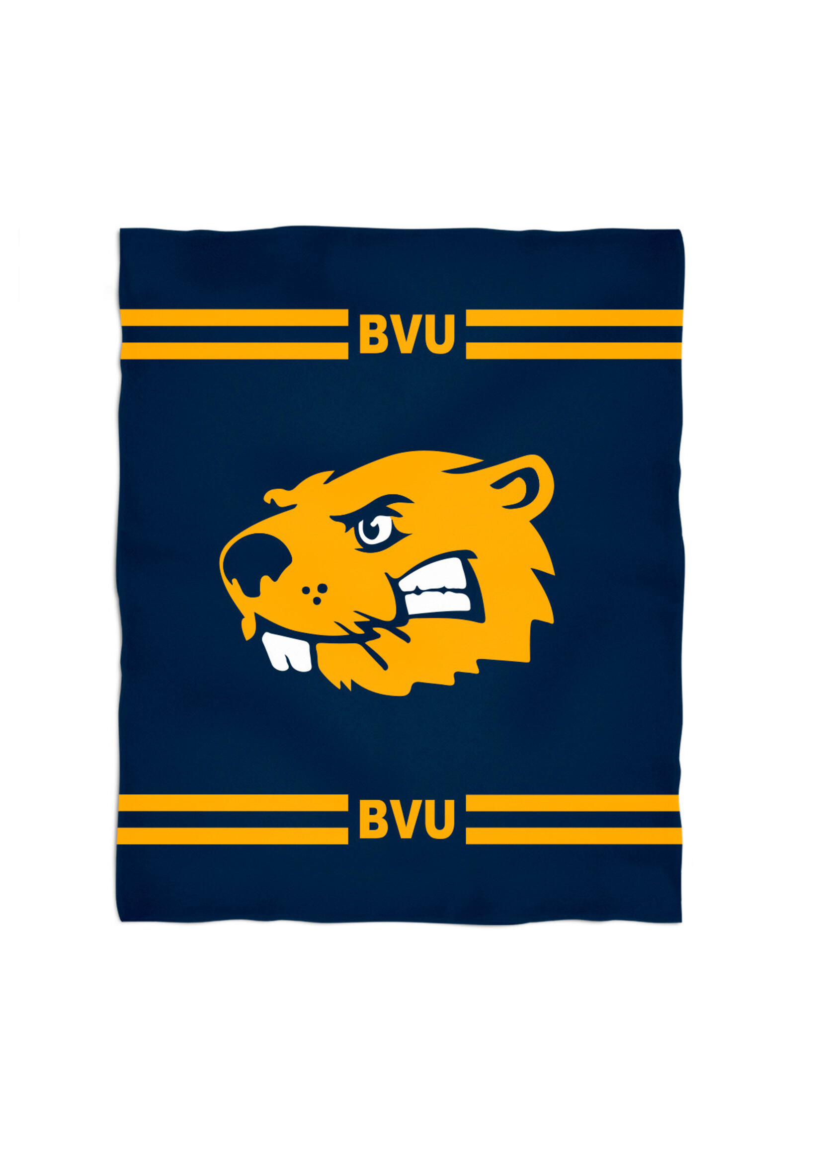 Vive LA Fete Minky Blanket Light weight