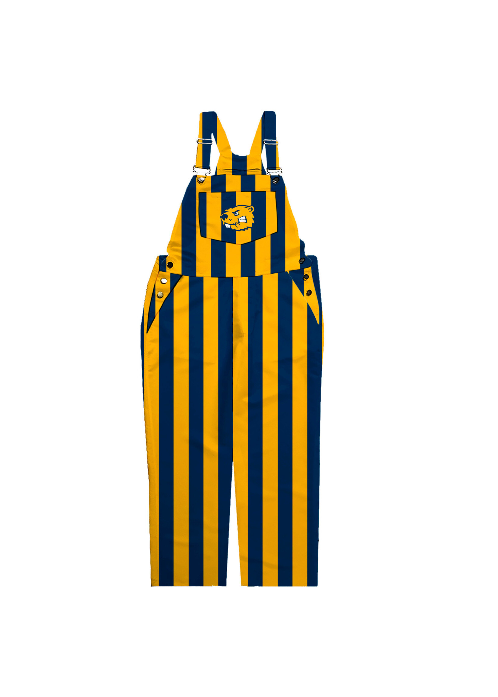 Vive LA Fete Game day bibs
