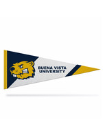 Jardine Associates 12 x 20  Buena Vista University Pennant