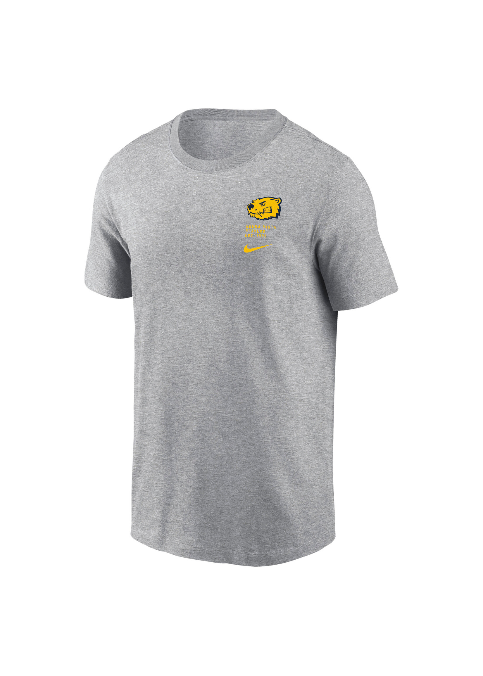Nike Dri-Fit cotton SS tee