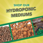 Hydroponic Mediums