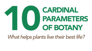 The Path to Flourishing Plants: Mastering the 10 Essential Parameters of Botany