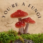 Mushroom Class