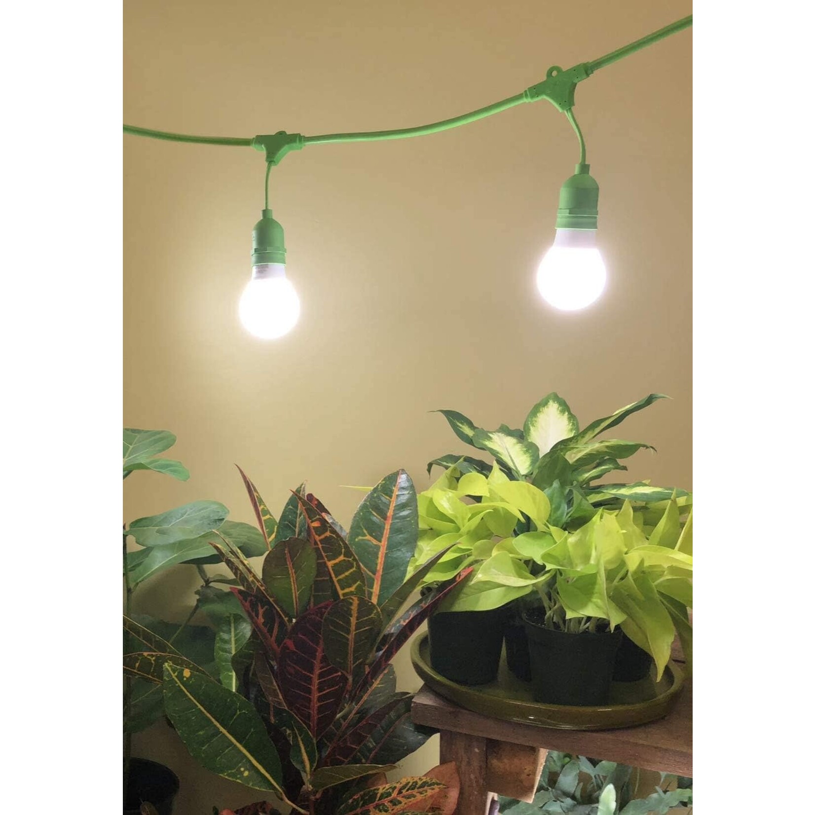 Miracle LED Kitchen Gardener Corded Grow Light Kit