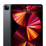 Apple iPad Pro 11" M1 256