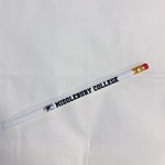 NAVY/WHITE MIDD PENCILS