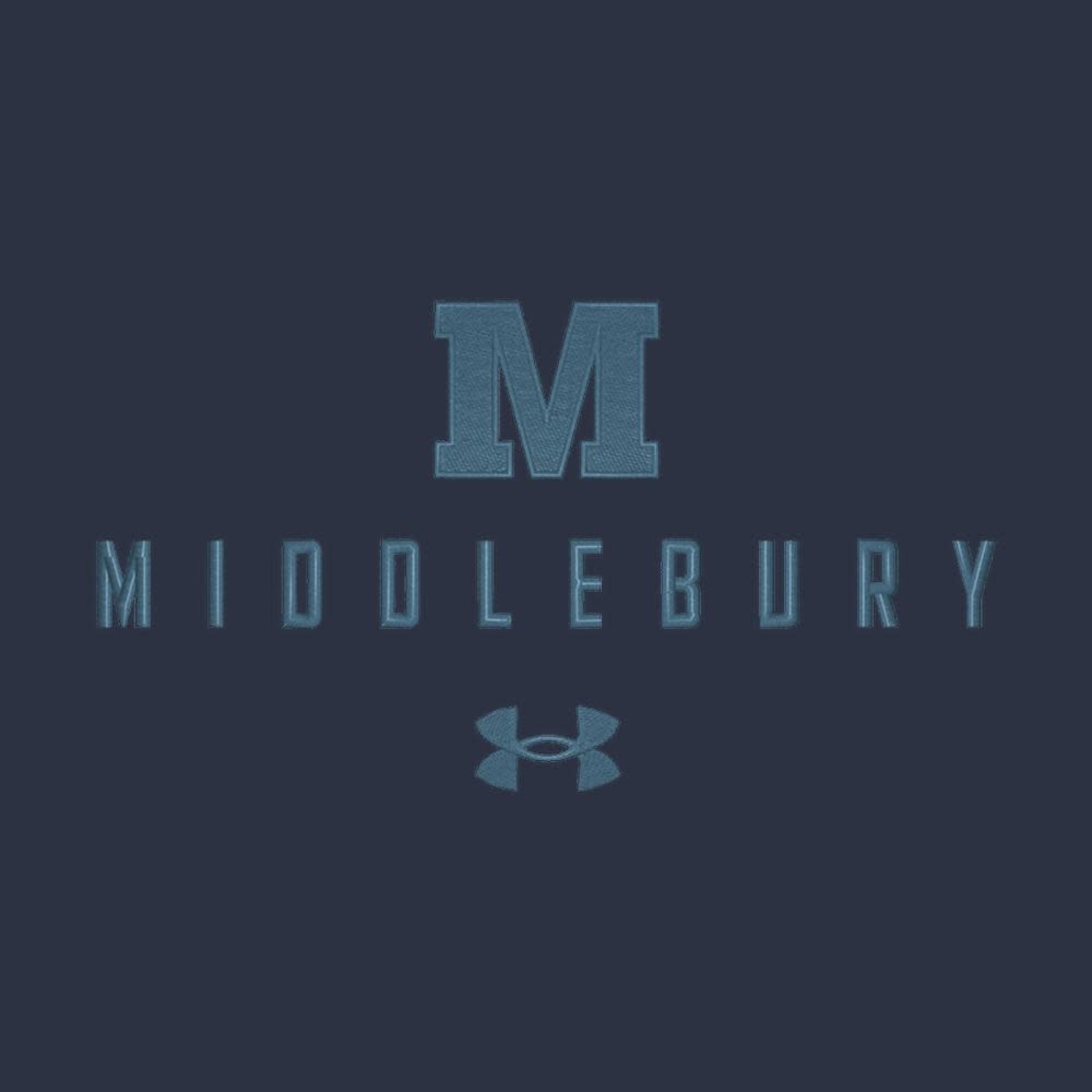 UA STORMSWEATER FLEECE HOOD