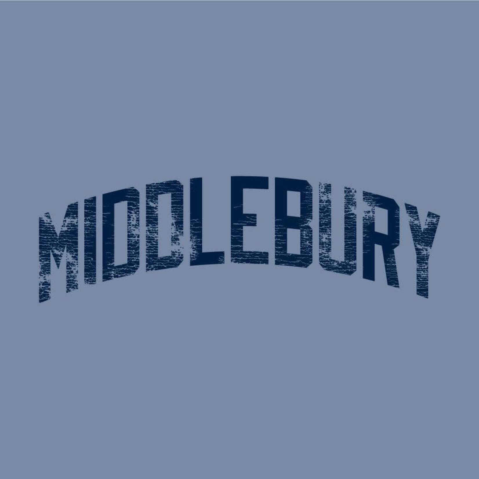 CHAMPION PALE BLUE MIDDLEBURY TEE