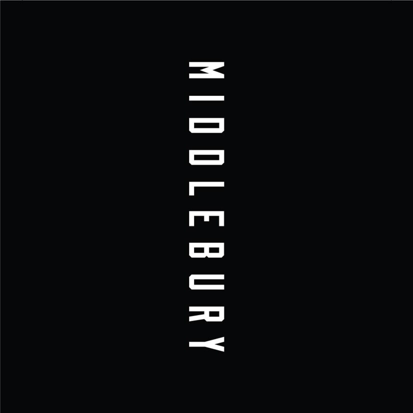 CHAMPION FLARE TRACK PANT