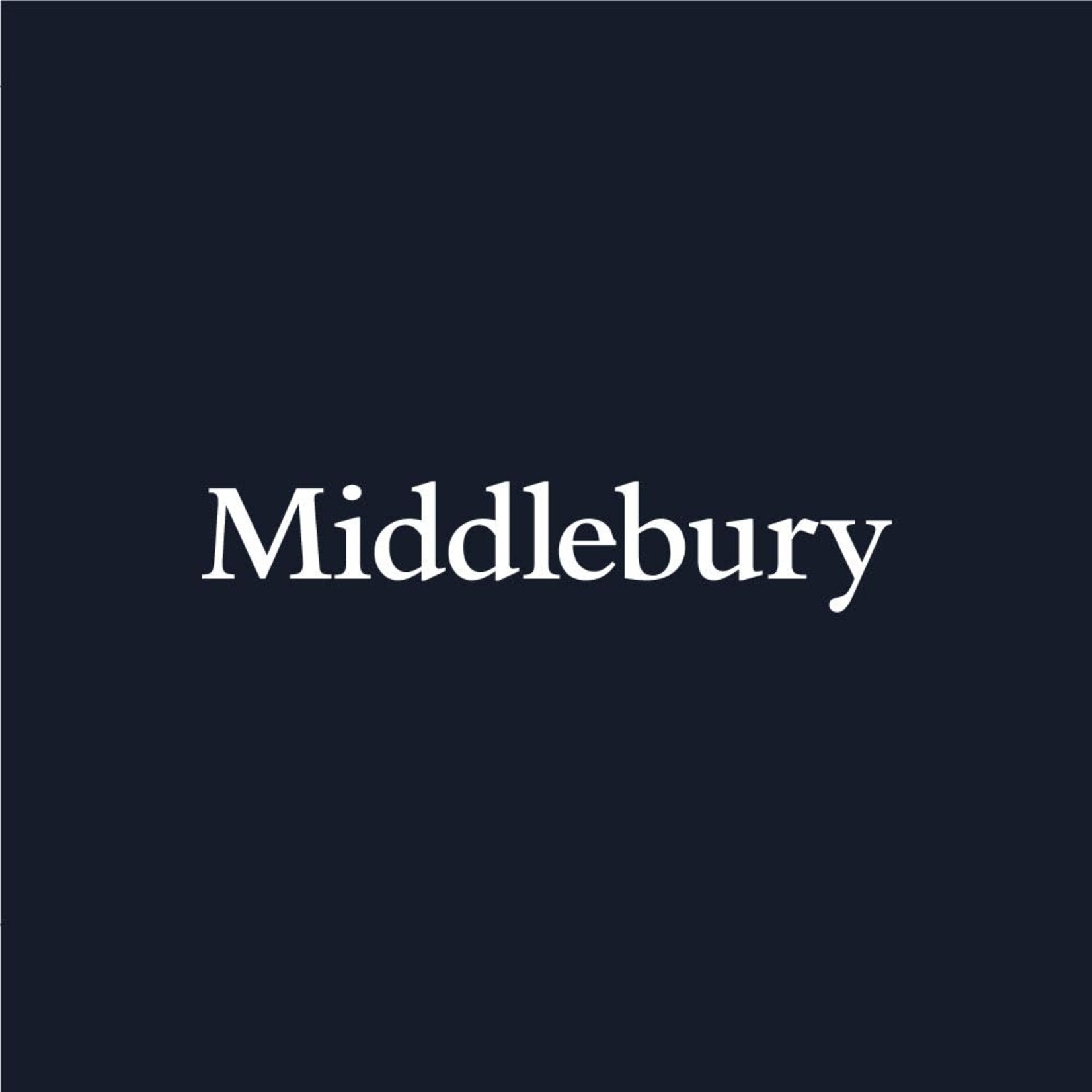 CHAMPION NAVY WOVEN SHORT