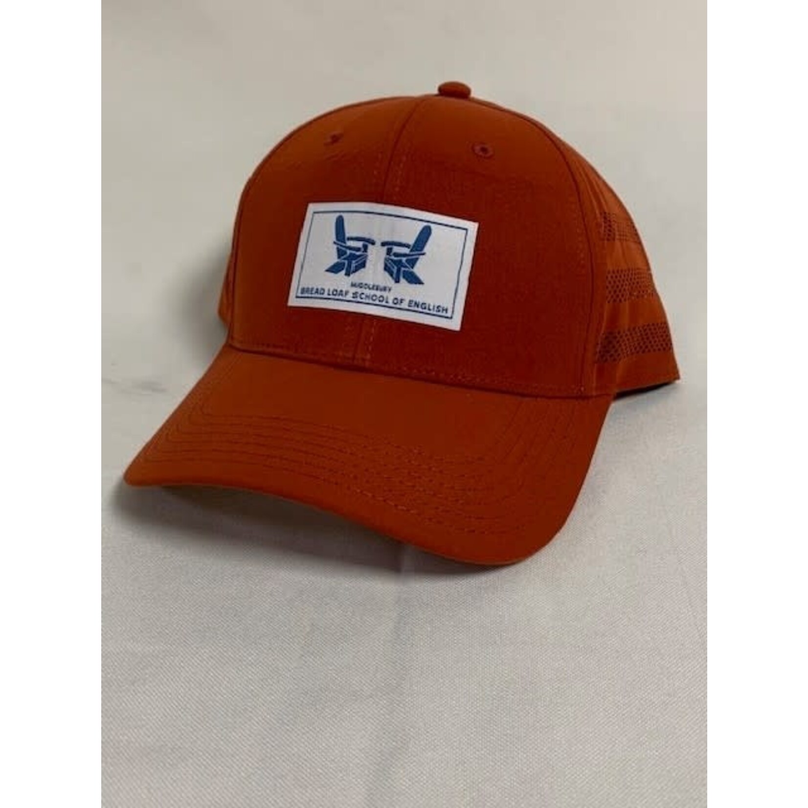 BLSE RUST CHAIR LOGO HAT