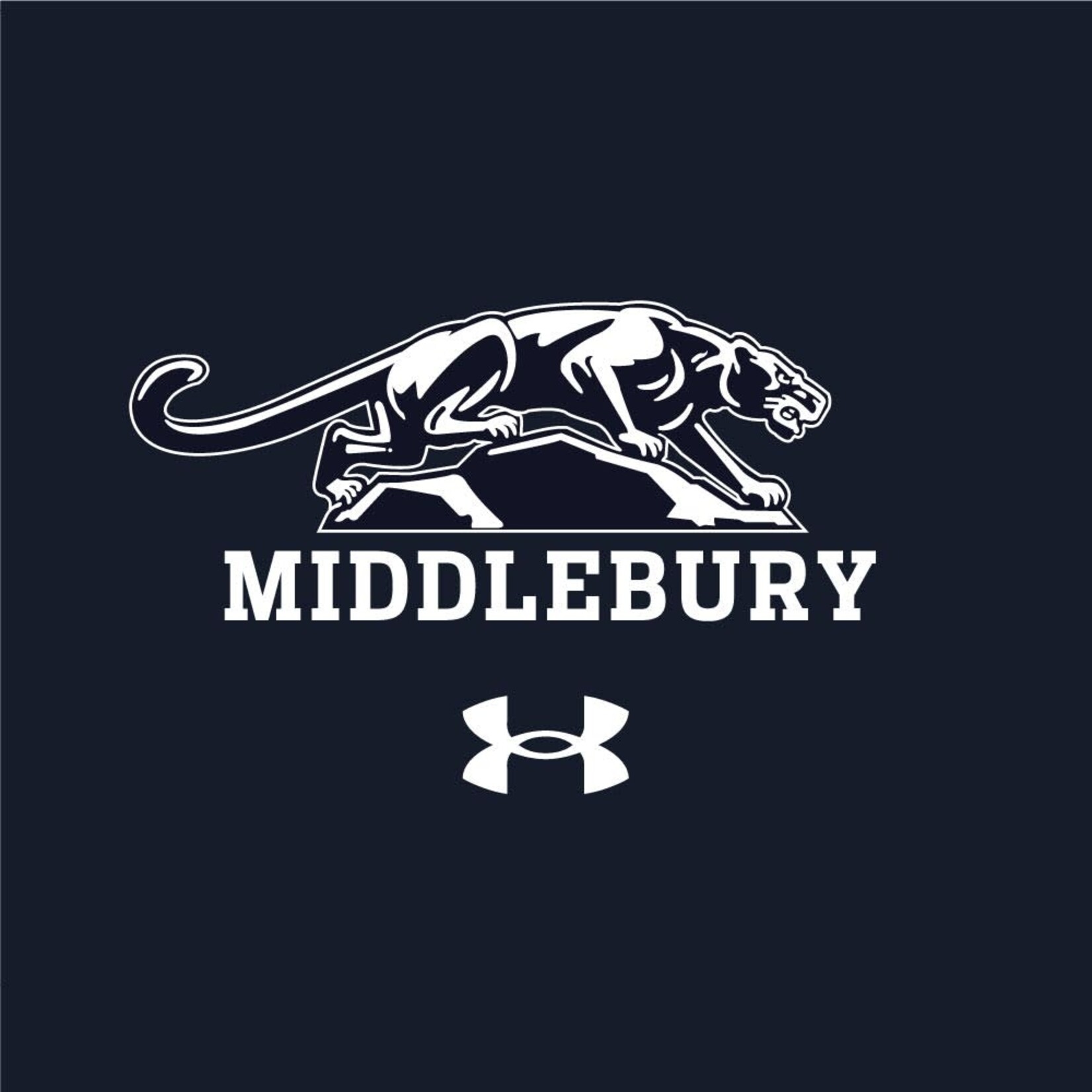 UA NAVY SLEEVELESS TECH TEE