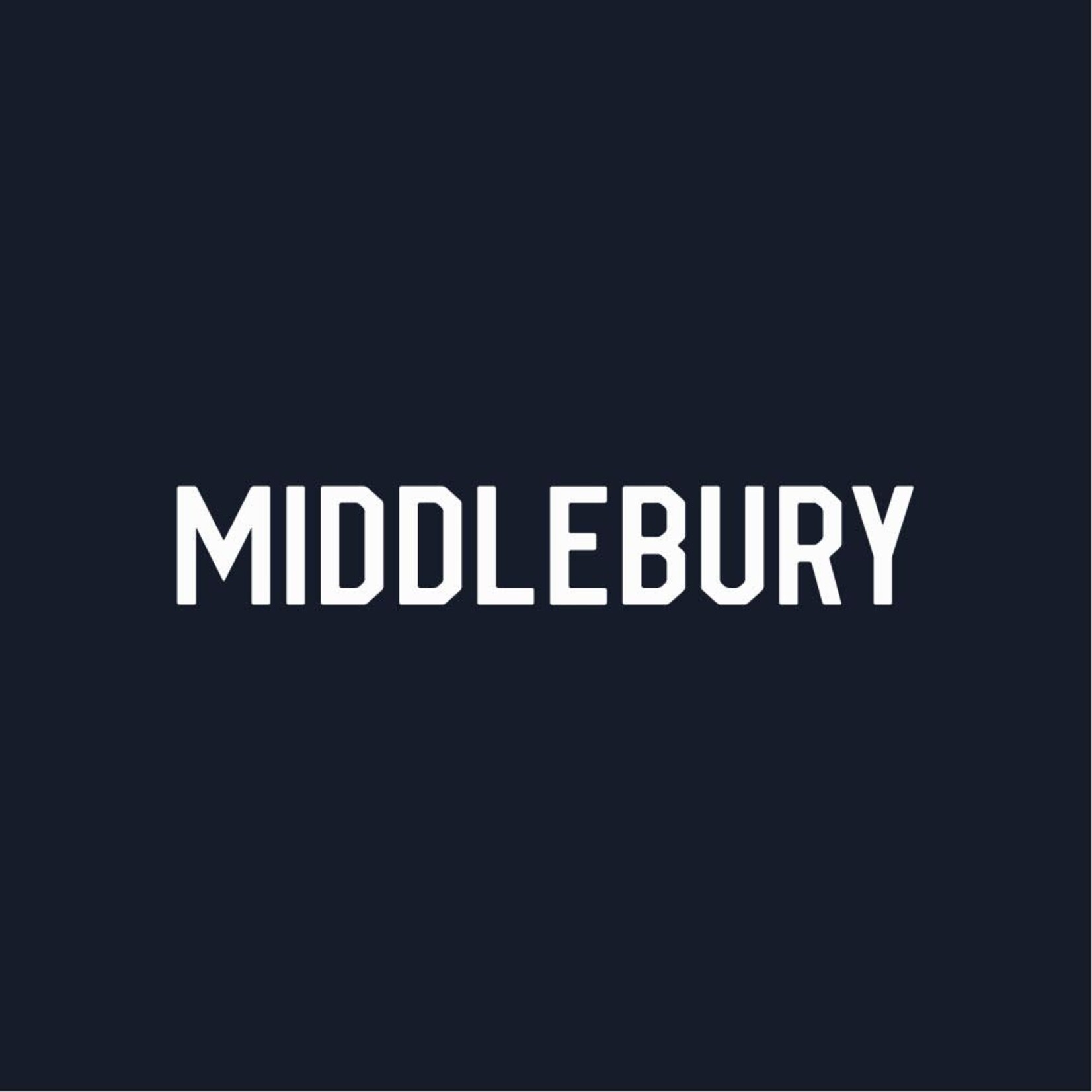 UA (W) NAVY DOUBLE KNIT 1/2 ZIP