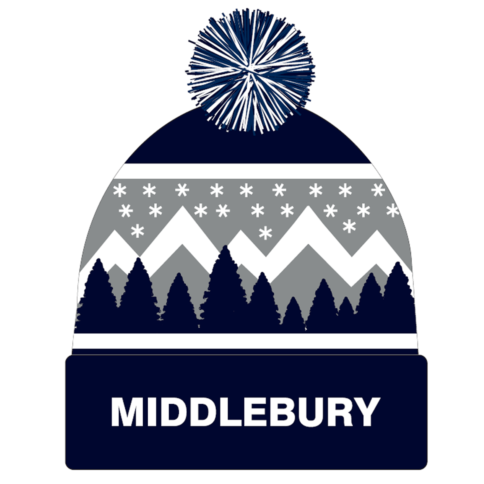 NEI HORIZON KNIT BEANIE