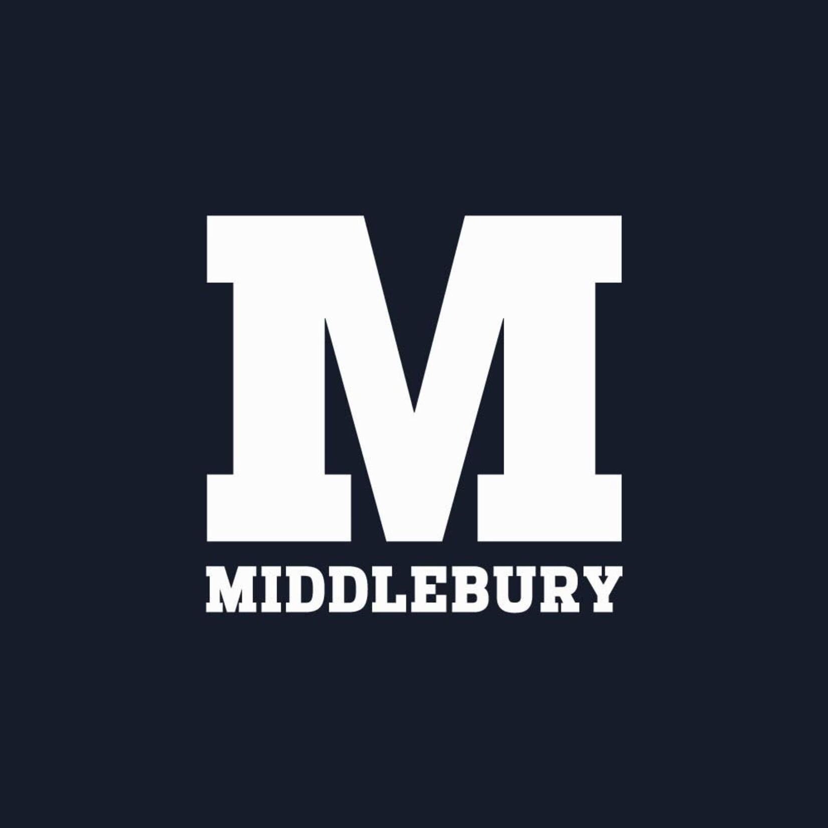 UA (W) MERIDIAN RIB NAVY SHORT