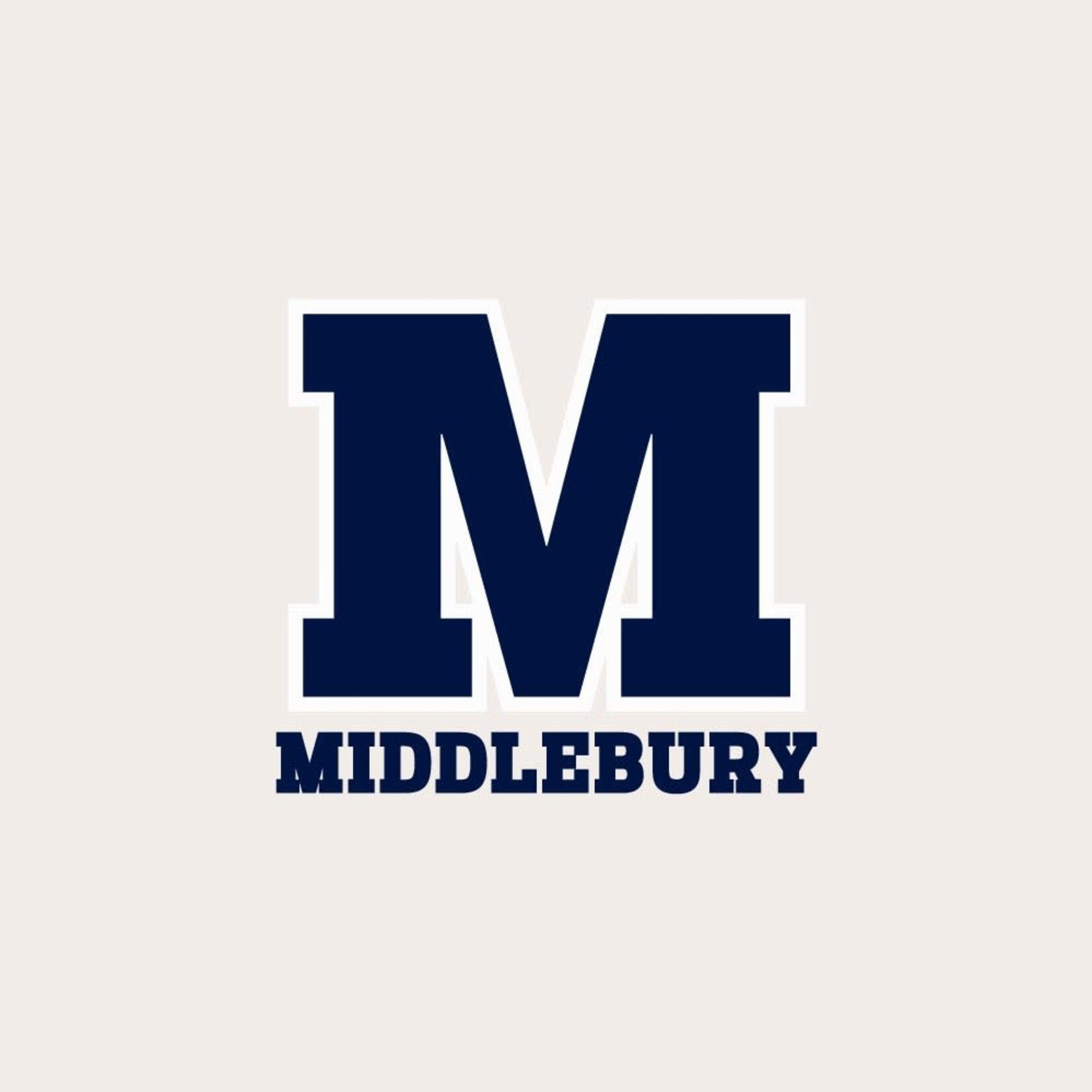 UA (W) STONE SHERPA JKT