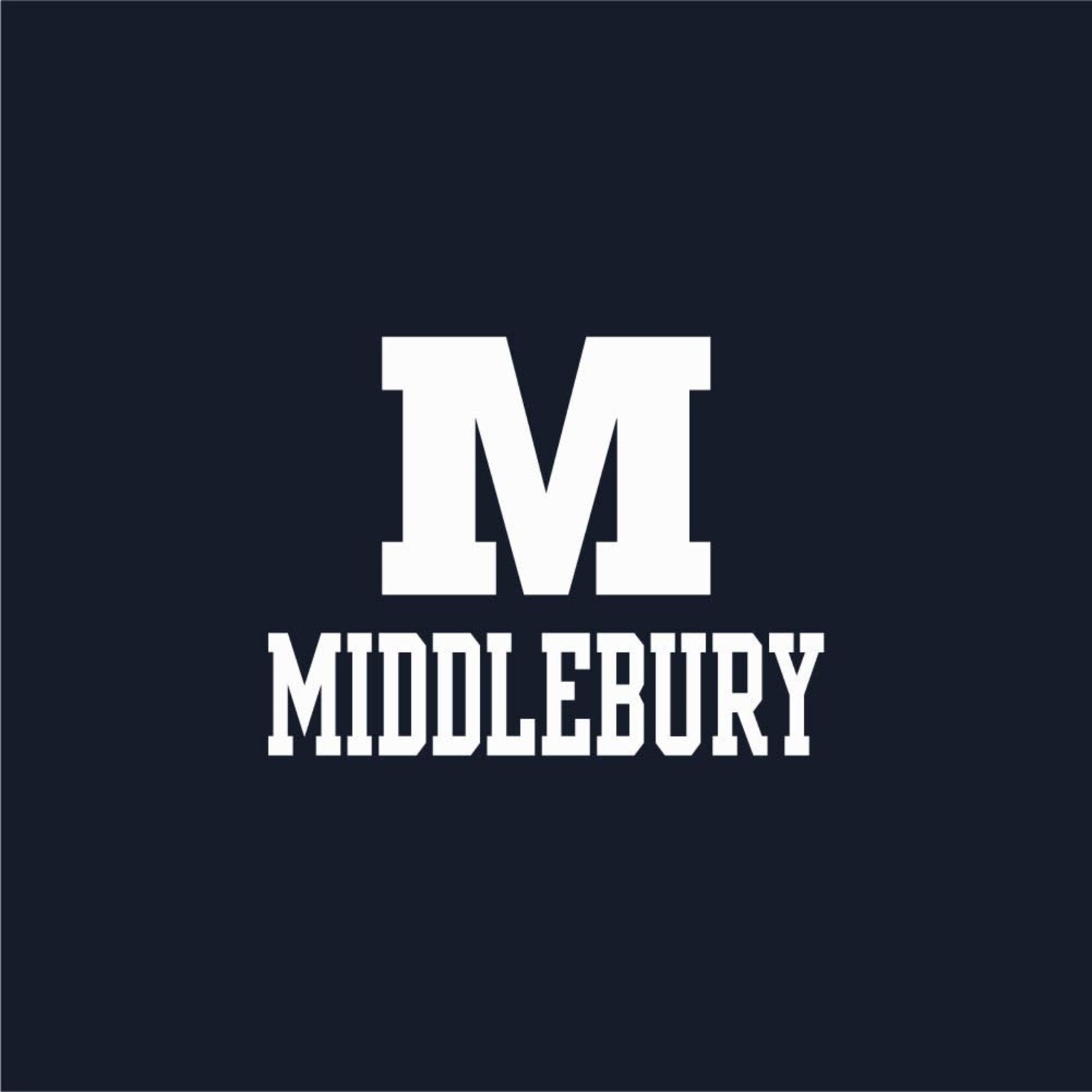 GEAR (W) NAVY V-NECK TEE