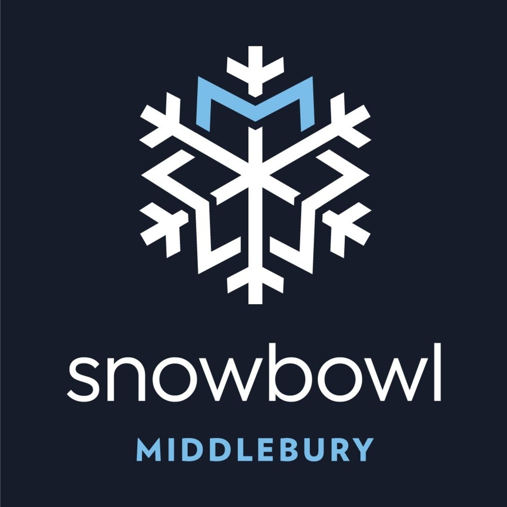 SB NAVY SNOWFLAKE TEE