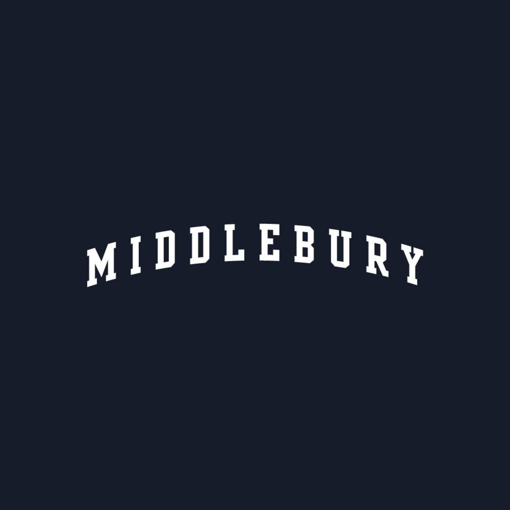 UA (W) MERIDIAN NAVY TEE