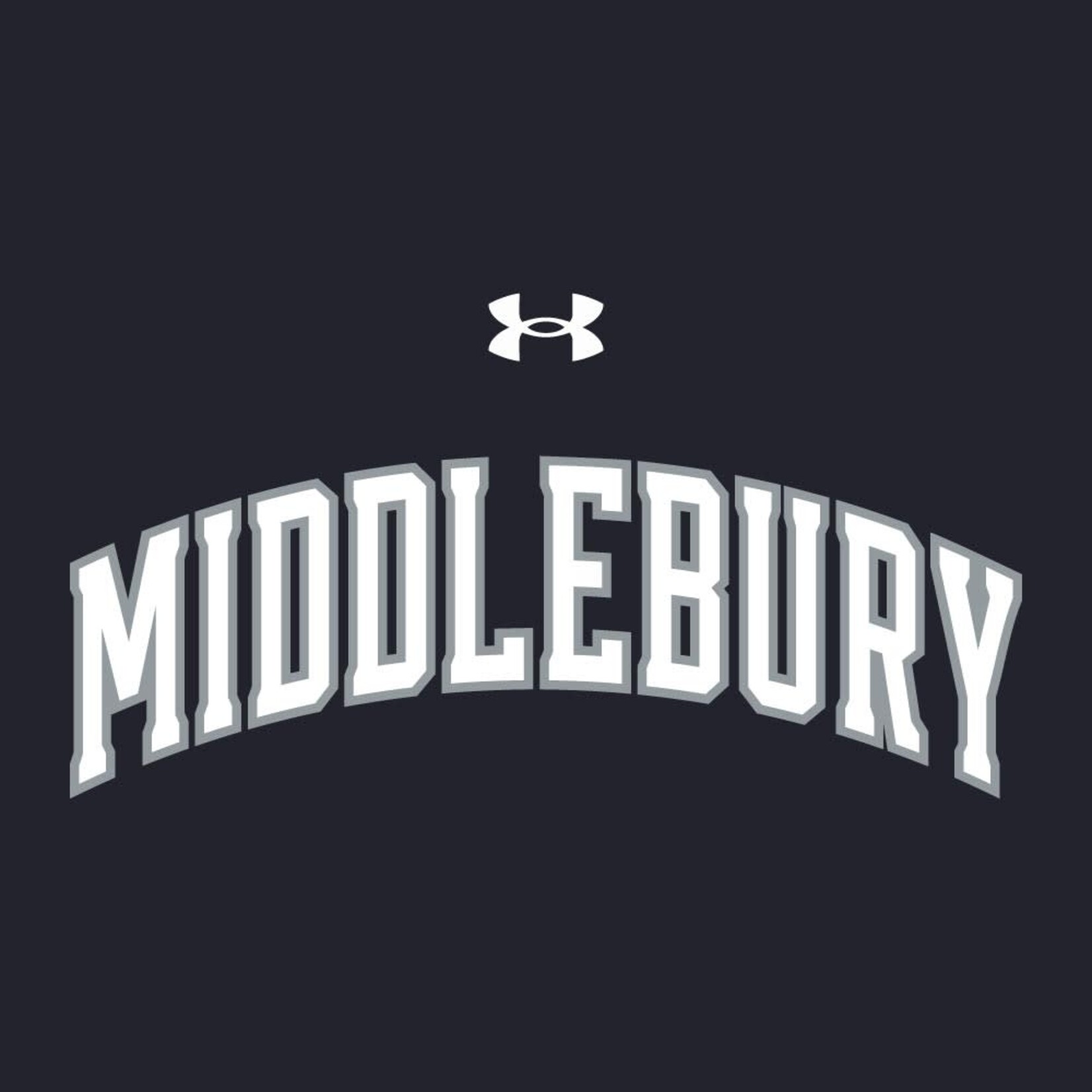UA NAVY MIDD APPLIQUE HOOD