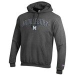 CHAMPION GRANITE HEATHER HOOD MIDD/M