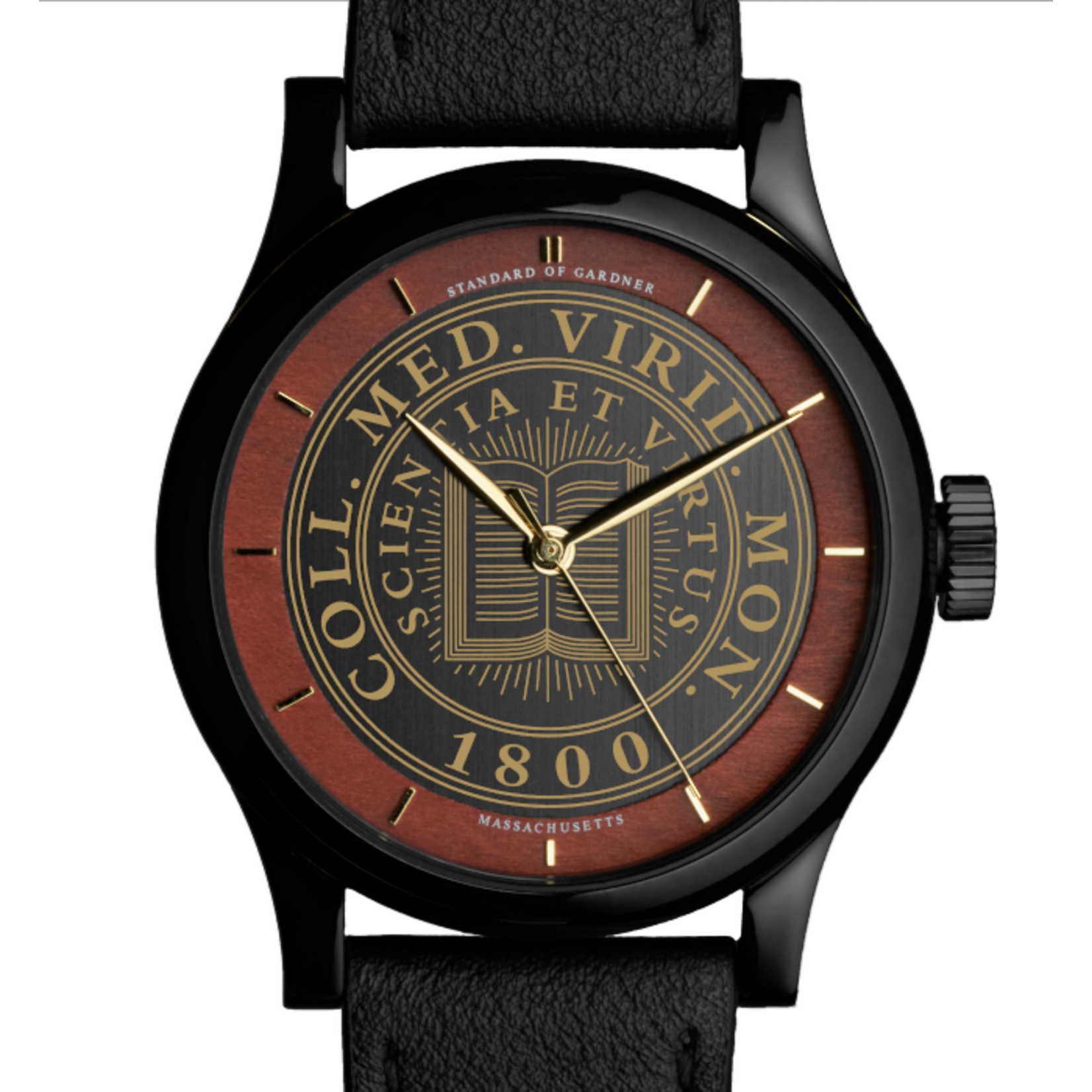 STANDARDS COLLEGE WATCH
