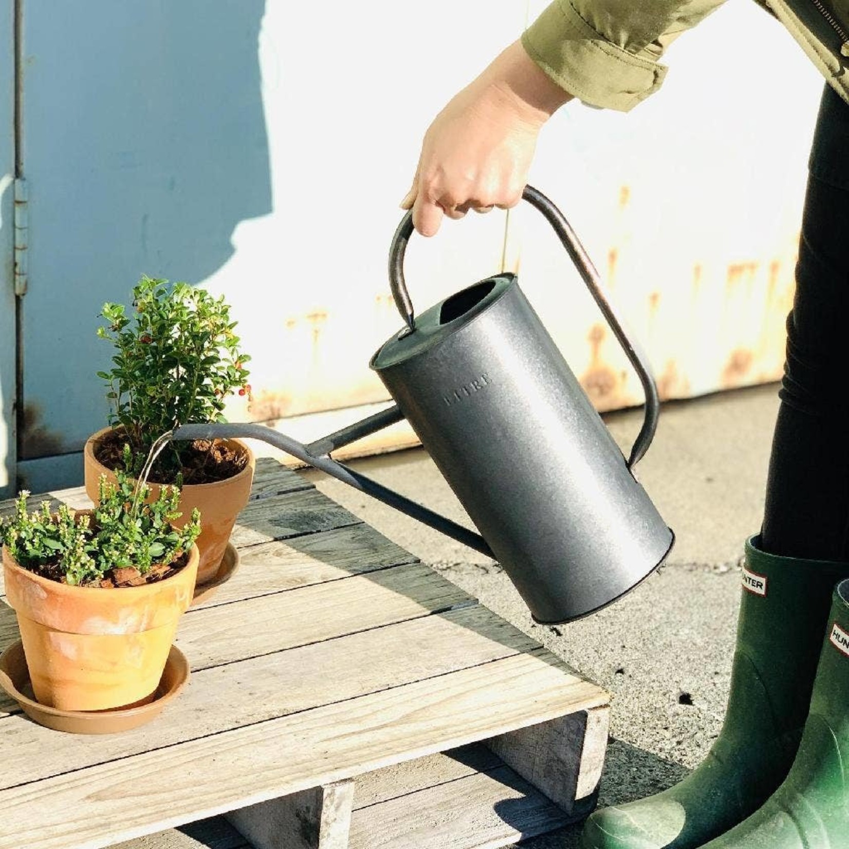 Watering Can Black Litre Tin 2.5L